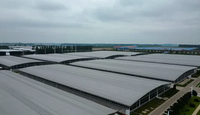 小程序商城服务器选型关键要点分析