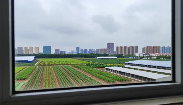 智能化转型下企业小程序定制的实践路径